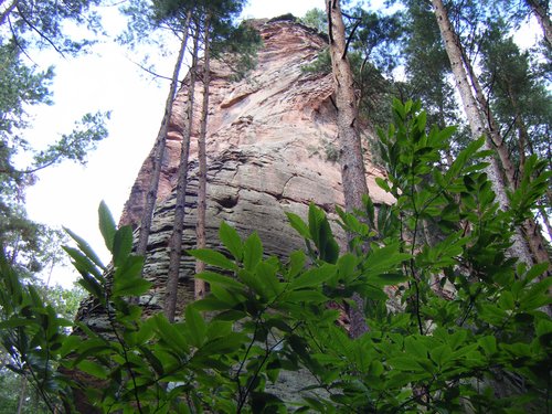 Dimberg