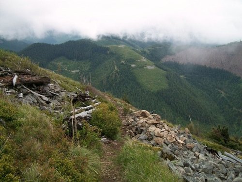 View from the trail