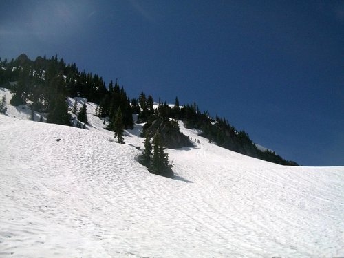 The gully