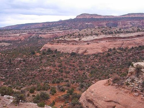McInnis Canyons