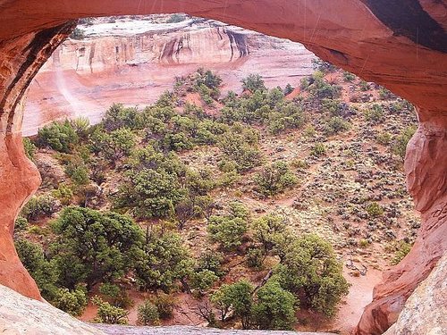 Rattlesnake Arches