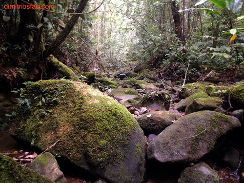 Mount Kinabalu