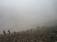 The hoards start their descent.