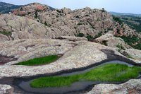 Pothole Ecosystems