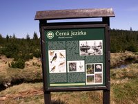 A peatbog reserve...