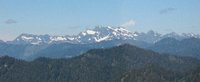 Grays Harbor CoHP