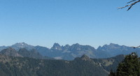 Grays Harbor CoHP