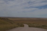 Neb Road